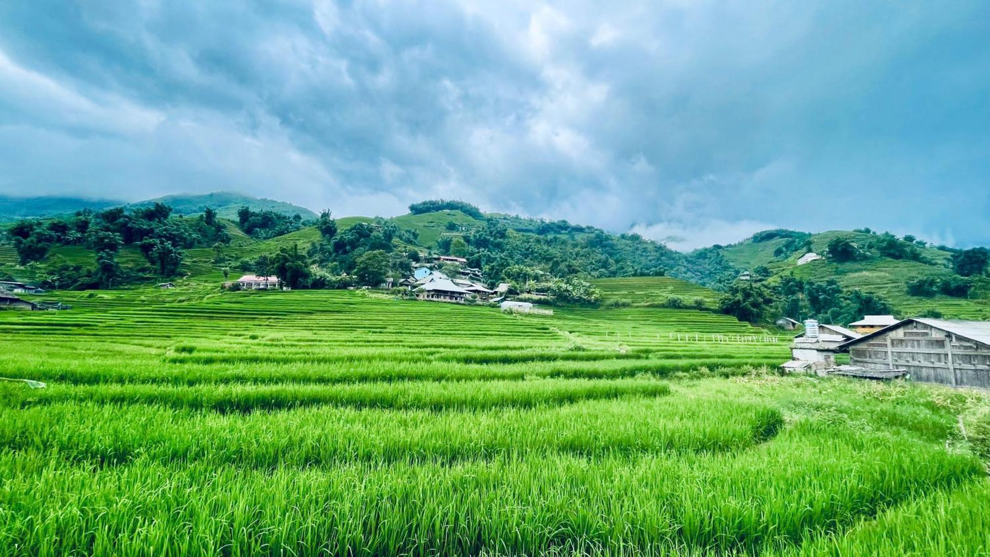 Hostel Eco Rice Fields House Sapa Exterior foto