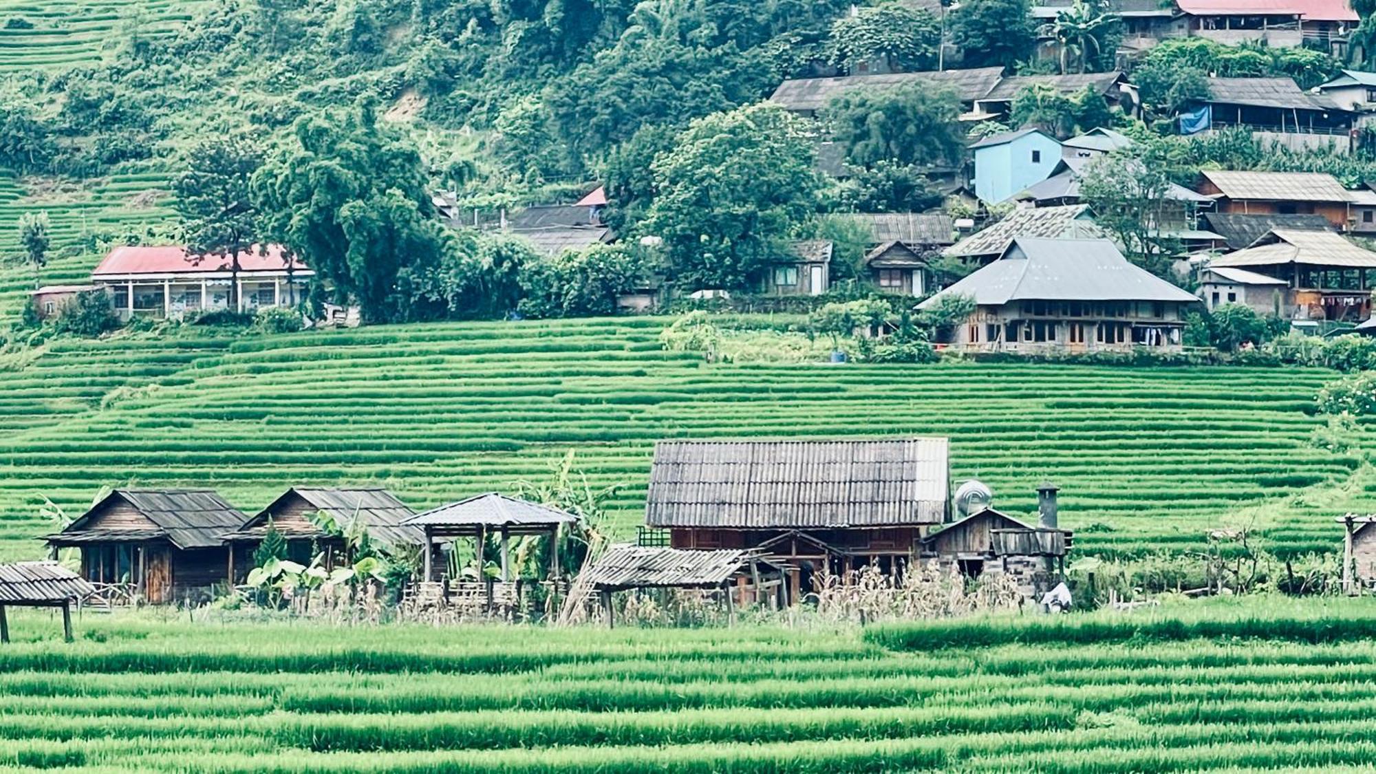 Hostel Eco Rice Fields House Sapa Exterior foto